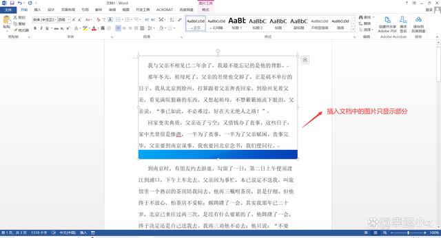 Word插入图片显示不全，调整布局为文字环绕嵌入型也没用怎么办？ Microsoft Office 第2张