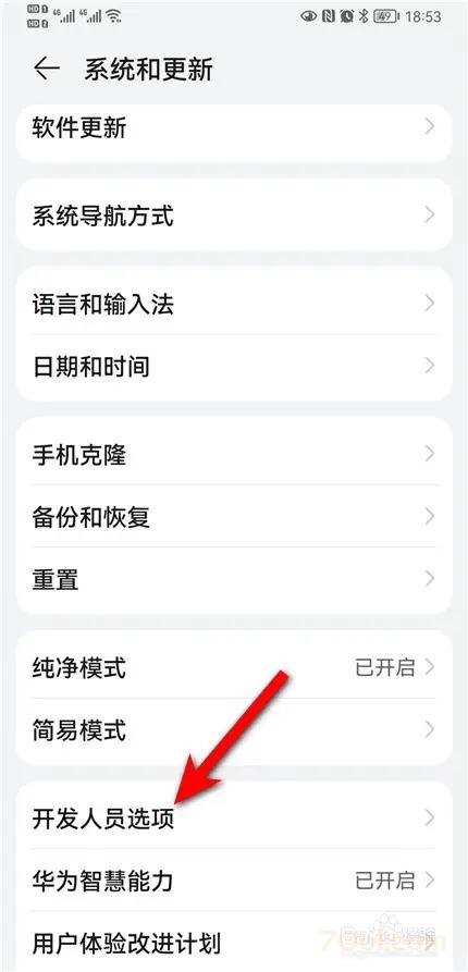 鸿蒙系统的开发者选项在哪 经验 第4张